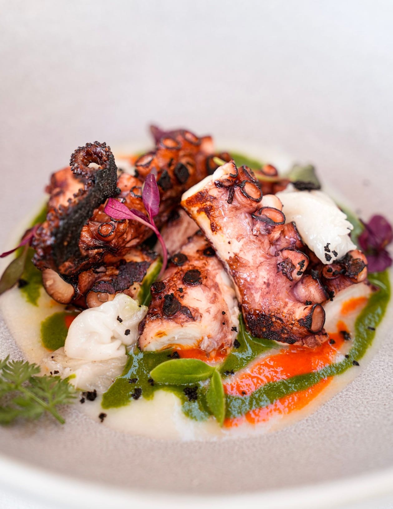 Polpo alla brace, lardo, soffice di patata, salsa agrodolce e crema di bietola.